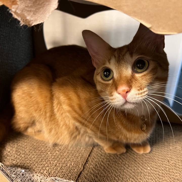 20119f57 0c19 4108 ab99 b767c051aa20 1680609312120