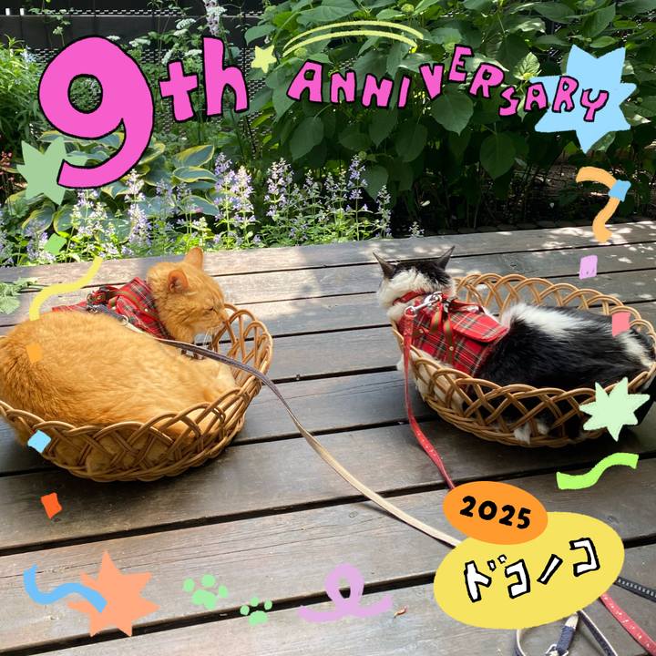 2011b797 ea90 4de9 9e0c 7802b7dedcf4 1749550755155