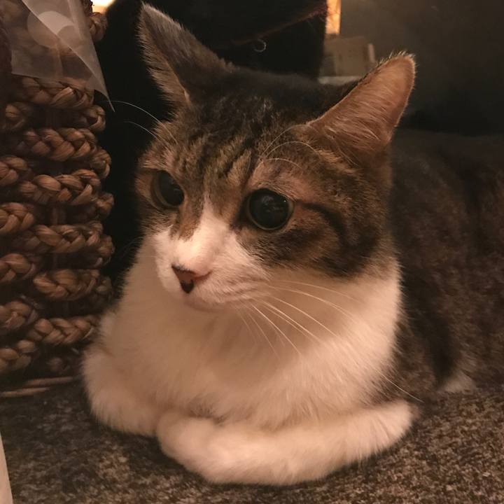 2011edfb 4255 49b4 b4f3 1629611cb1c3 1550735135246