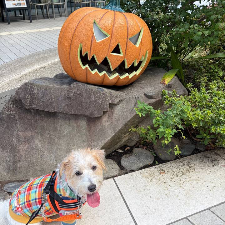 2011f5b3 80be 429a 8ab7 b2c4e48e987d 1760761872624