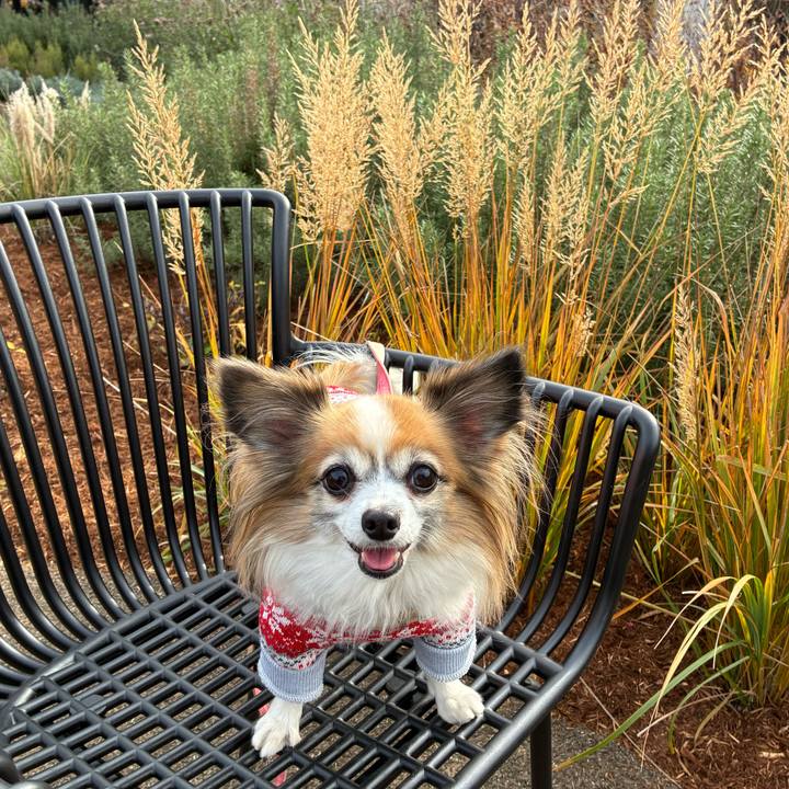 2012032d 2d55 4be0 b0d0 a79766ea6bfb 1764760506723