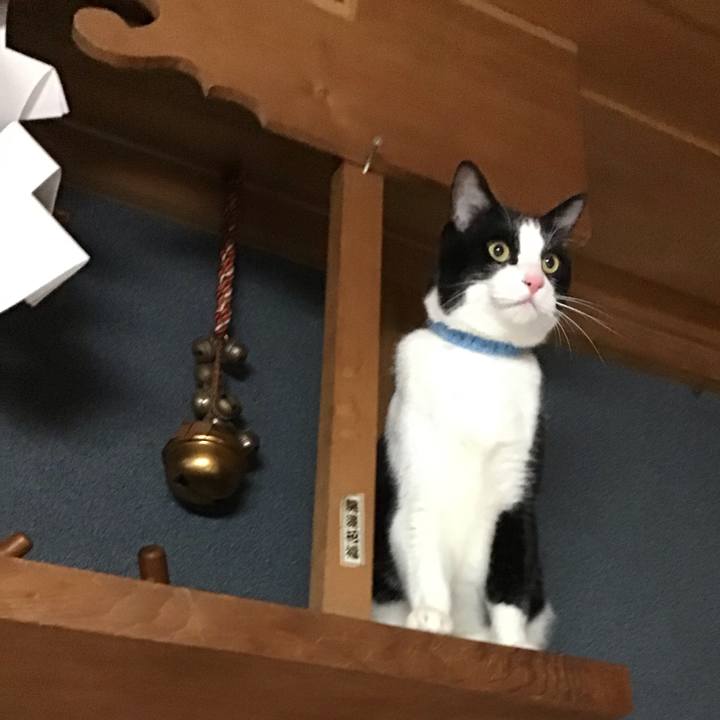 20122dac 4329 4ec5 96ee 258ee4fccc09 1735893201556