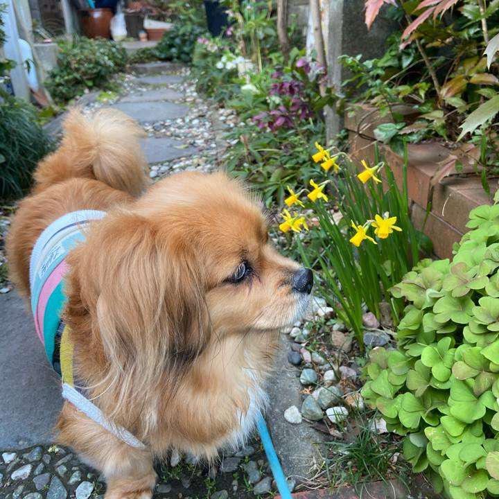 20125724 d793 42ba add7 cc66eeaa9295 1615931779238