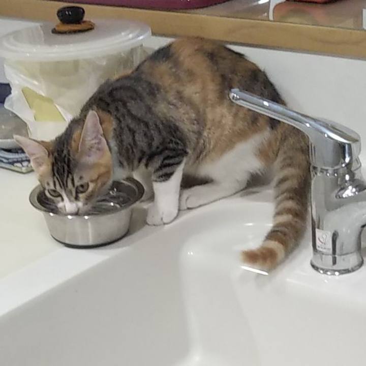 20125ceb 8a18 429b 870e df3a47ac294c 1629410241713