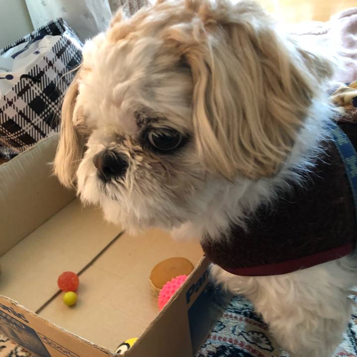 20126ccc 33db 4d56 a501 eb278c9e0f8b 1518990072791