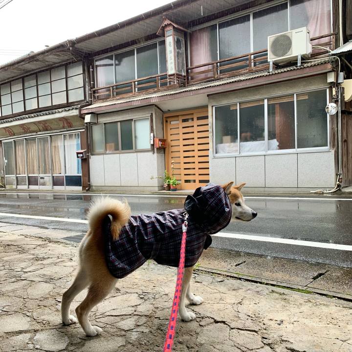 20128125 07a6 4ca0 9cf7 ca0ae5f713b9 1686473065320