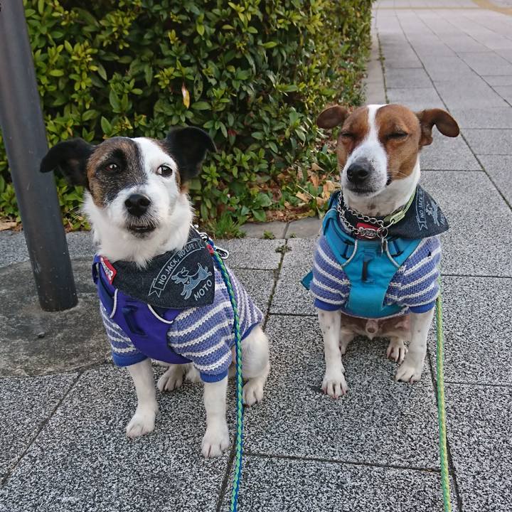 20128d7b b00f 4495 8cb7 1935b0c99550 1614036364957