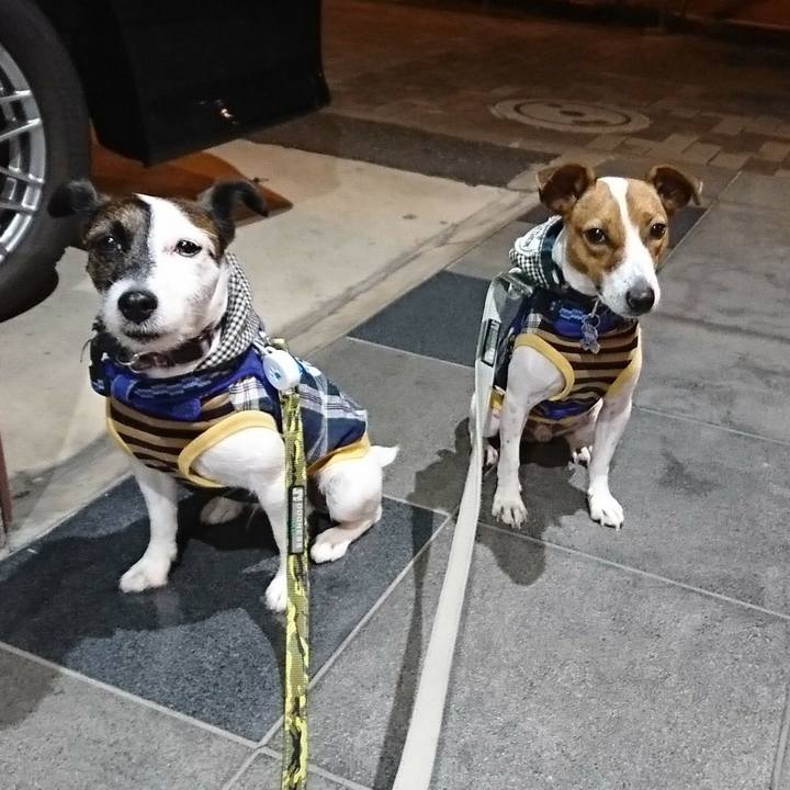 2012a2c3 74e0 4f05 b454 3b146f27a1f6 1538482256224