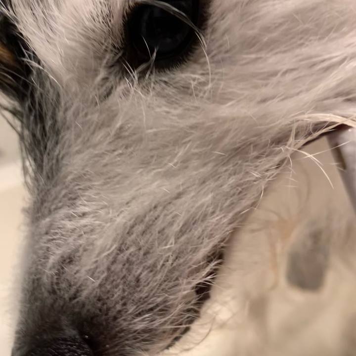 2012f8e0 07bb 40f3 921f a016903da638 1675079634829