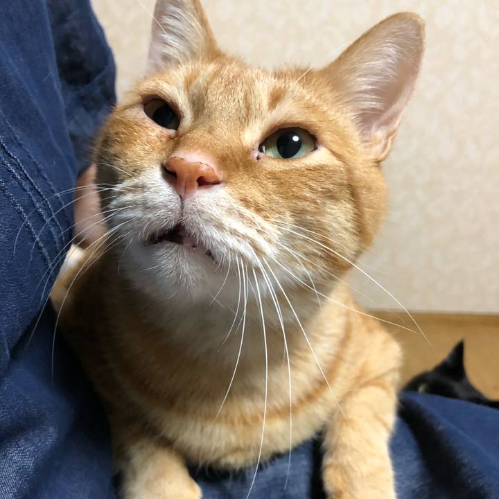 2012fd64 4a0a 4bff 9430 7e0988dceea6 1639517637933