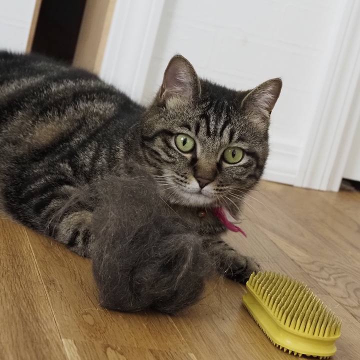 201303a7 fbd9 4c63 95c3 d490b7995f7f 1623297559407