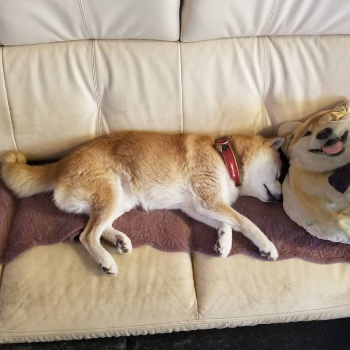 20131951 6459 464b 88e9 c2ff1331de5c 1755991581430