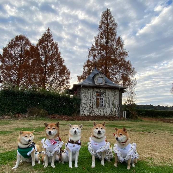 20133cbd 8dd9 4c2e 9f22 624db3811fa2 1670318650866