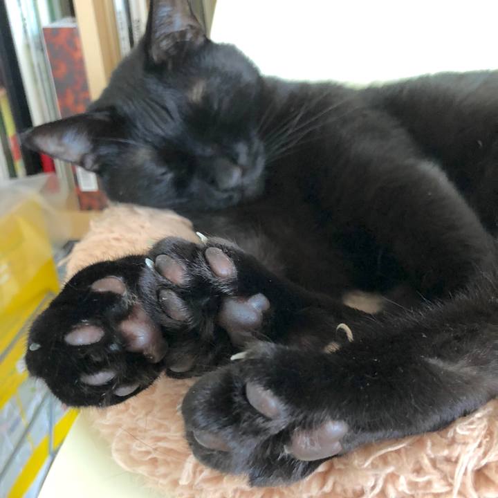 20135e4f c18f 44bb 8692 c3fd362a9785 1524962090904