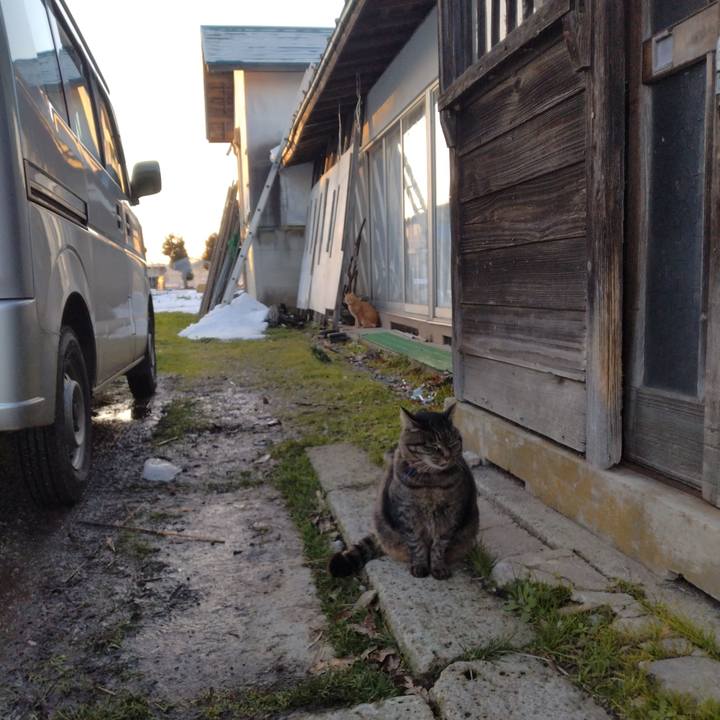 20136422 8977 449e b570 2272e6b86a0a 1703747001537