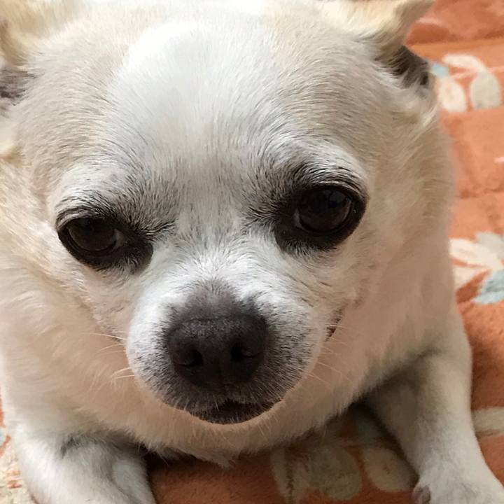 2013a65c 8e49 4413 9ecd db4a4f29e689 1557629998549