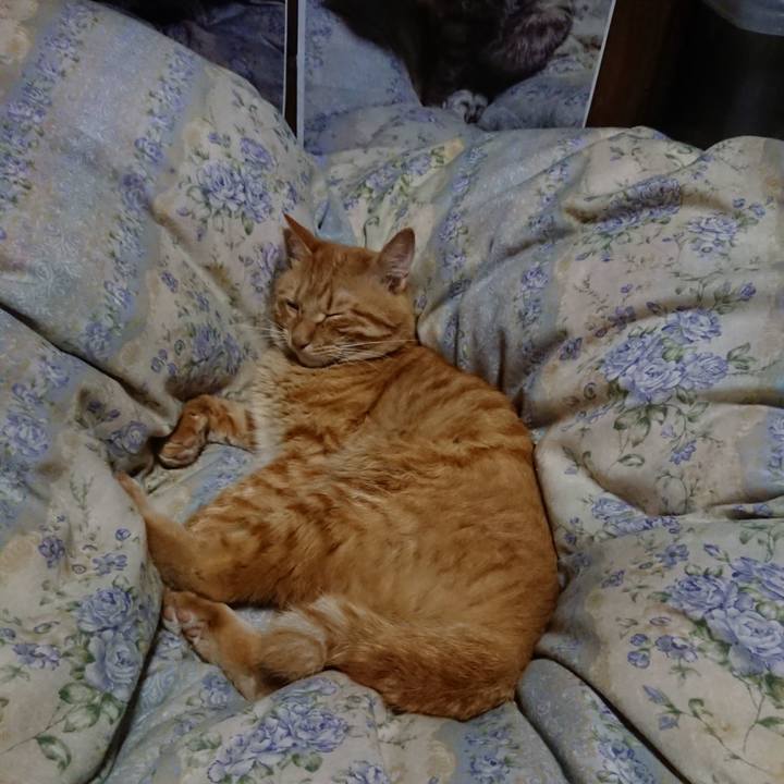 2013ae47 c354 4f45 b908 75b17f6bb062 1661774961035