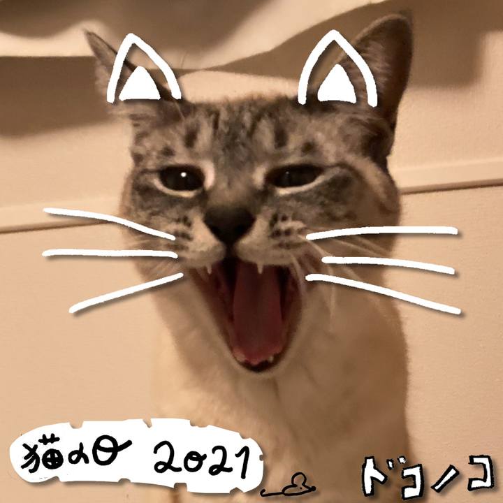 2013aeb0 5313 4197 ad58 0fd28cca0249 1613989214179