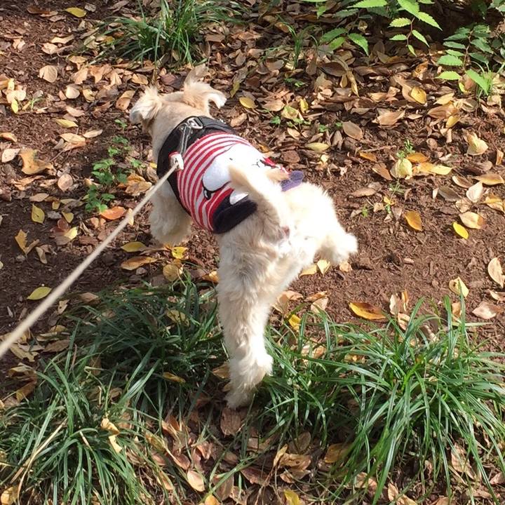 2013d43b 3b03 4cf2 bacf be85ebae9b29 1542706110364