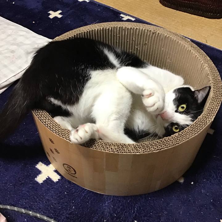 2013faf6 cab4 402c 948d c5528db5e6bb 1716106670740