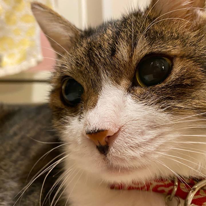 20143c51 4181 4d89 9744 f773821517f1 1591578379033