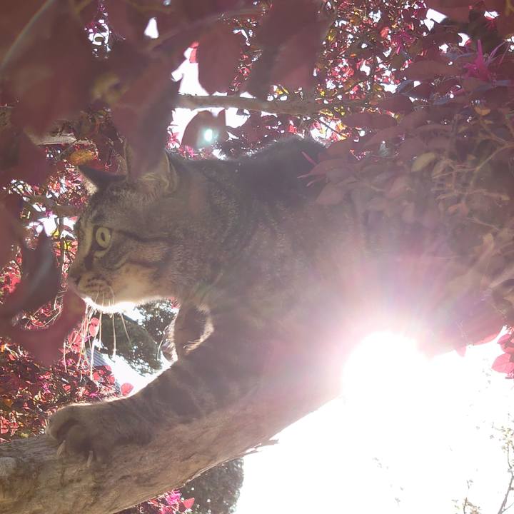 201486bb 45fe 42cf bcfe b5bfb0d87866 1650181731763