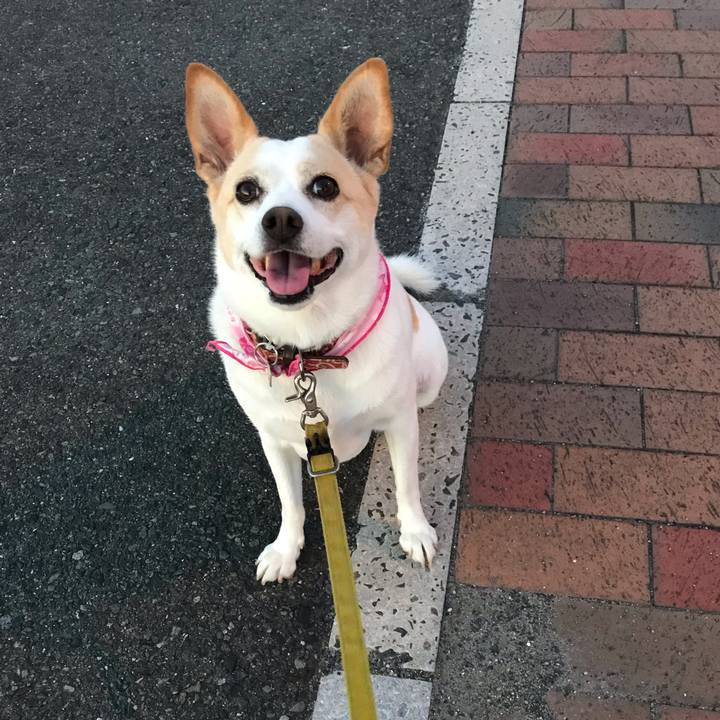 2014a438 0601 41f3 ba66 ea5c9859af48 1662891023692