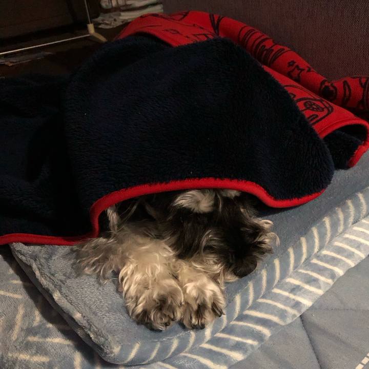 2014afbf 5821 405e abda e5ba9b3d1c49 1699622056248