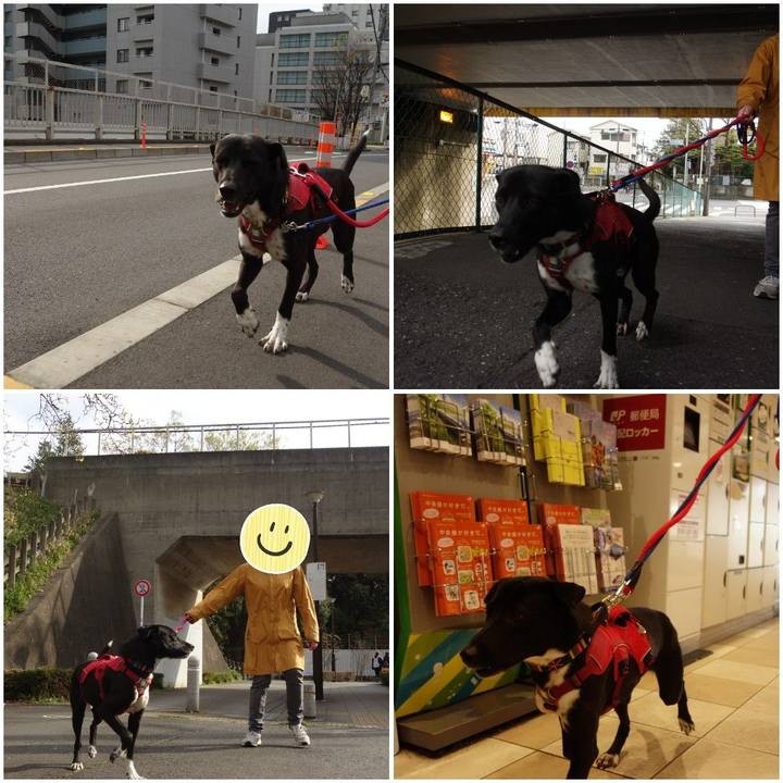 2014c214 8c31 4381 bf9b 7f7784fcfaee 1586047941033