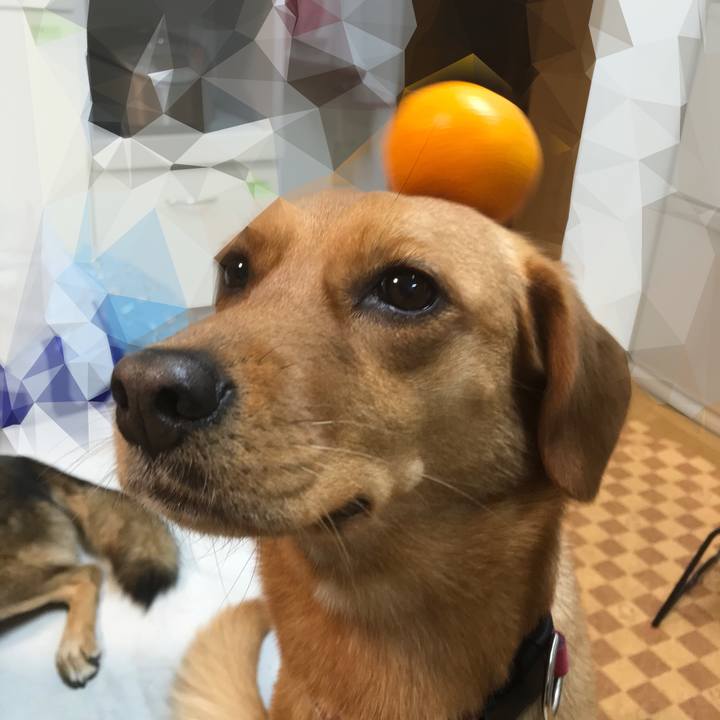 2014eeb9 01d2 414e 91c2 ca71c9dbc8ae 1514983687914