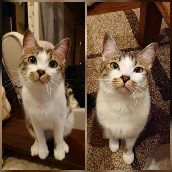 2014f4f0 79c5 4a2a 9aa4 e15b34fbfb6f 1579510623112