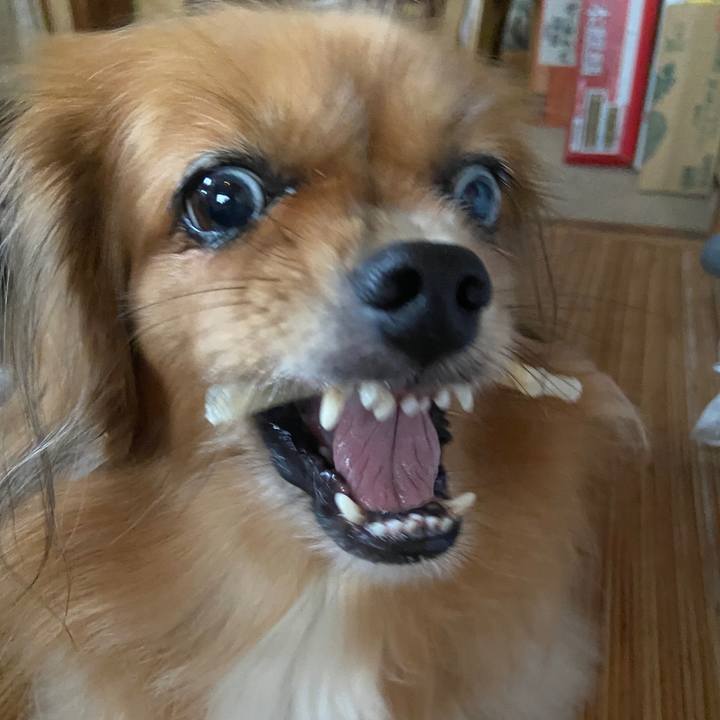 2015084c 5404 4962 a506 ba5d985058a2 1663805063259