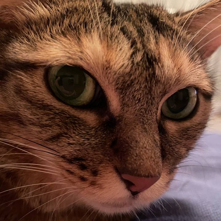 20150996 651d 43fe b502 810dbc8250a9 1695468629432