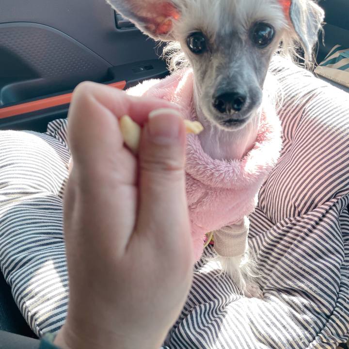 20150c5a 4e46 49e7 bfce de467ca28d32 1771389984895