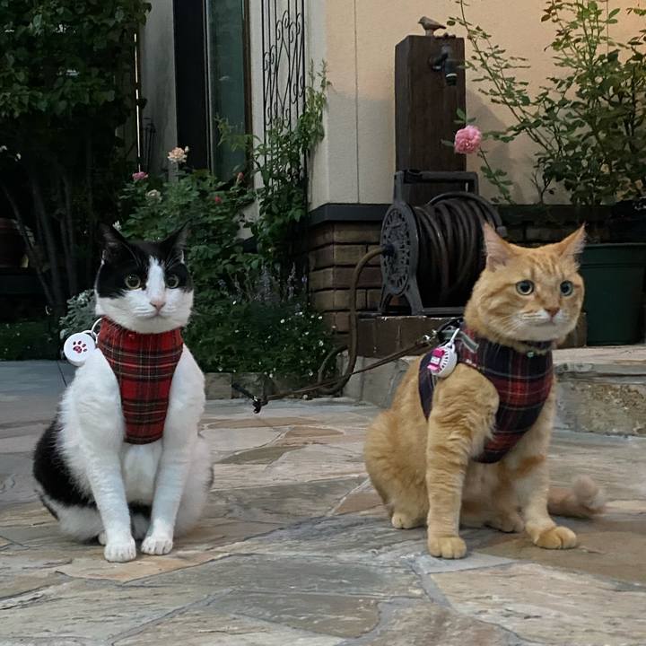 20150e4a 6697 4def 8352 37b09bb62ac0 1661077212350