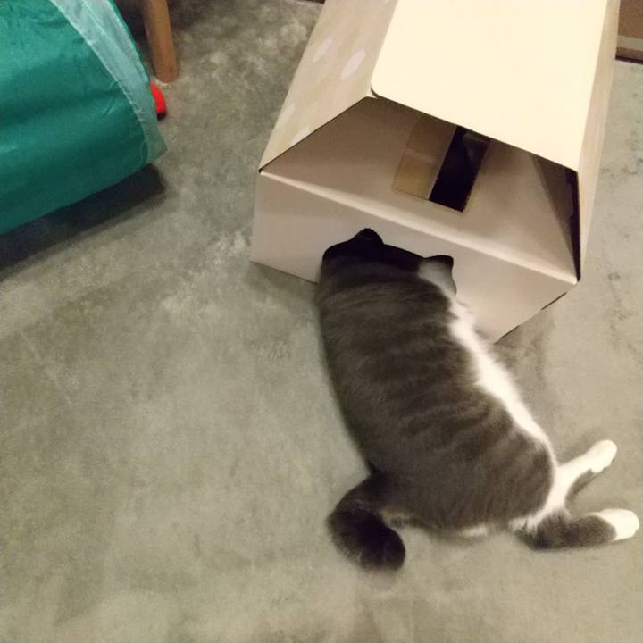 201571dd 7c3f 4303 9636 7449d0818d41 1601647753493