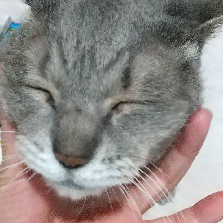 20163a4b b8cd 4f50 9de3 46d562b28092 1671799977819