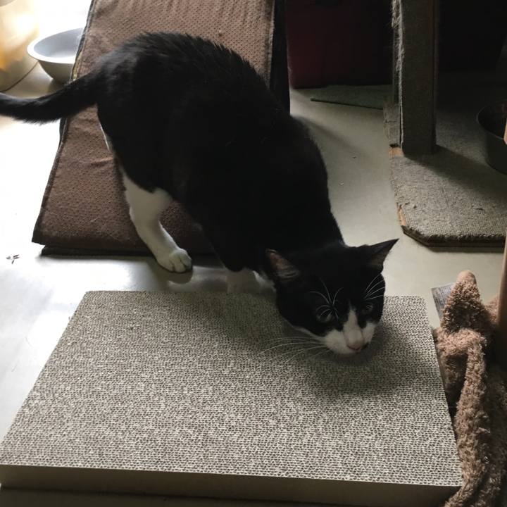 201651b3 9f5c 48a5 a7a2 84d2d0079a16 1532683997320