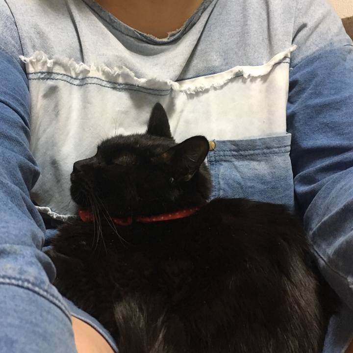 2016678c f1b8 4303 ba49 cf2d630acc7e 1562449659377