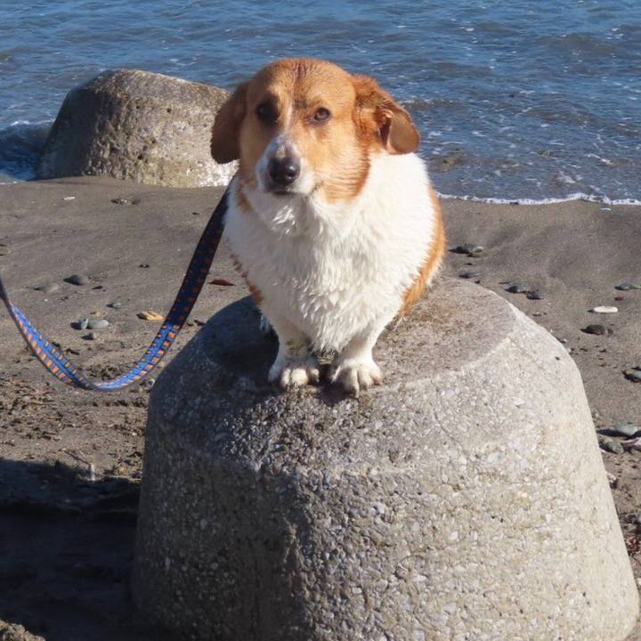 2016a18d c1b8 4c1d 9260 ce784a86b353 1636938731970