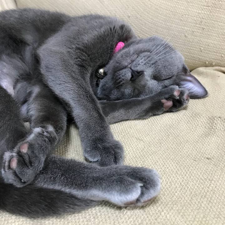 2016f23a 683f 490d beda fb4cfdfefd3e 1522646263265