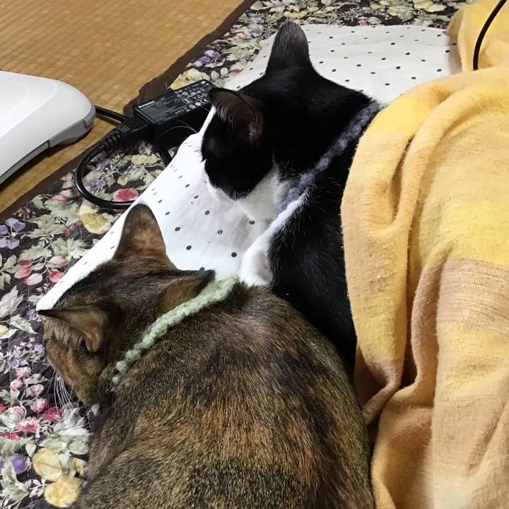 20171fad 0ca0 447a bbc5 b71a2850079e 1640393691989