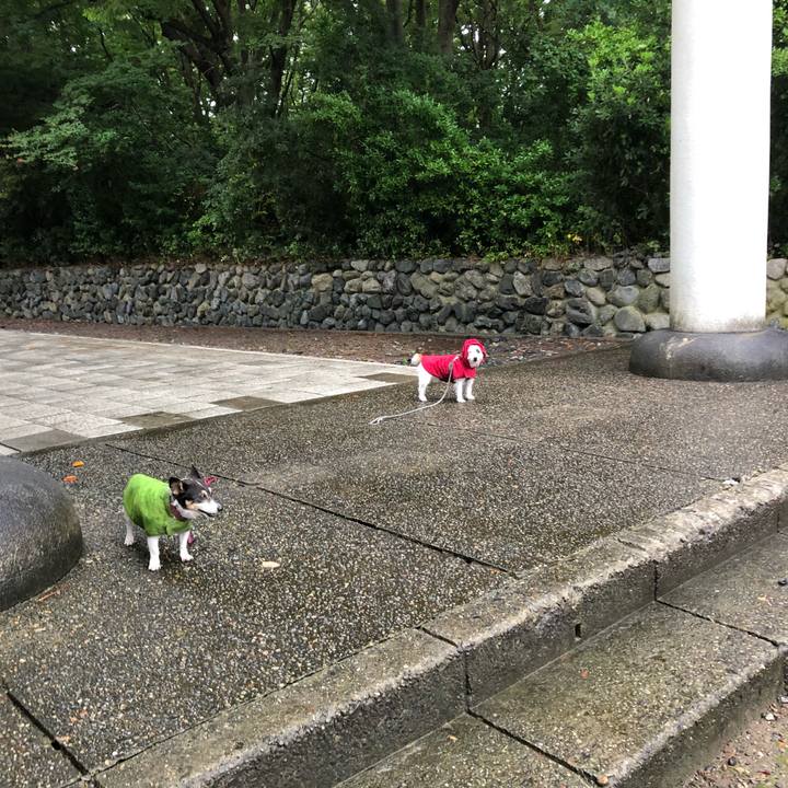 20172e92 b28e 4ea8 ab6e 041fc4914aab 1567120383848