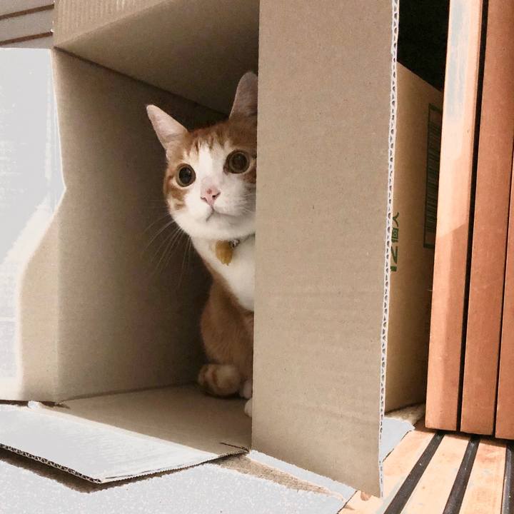 20172f48 2c89 48e8 ae7b 1df71f660ef4 1573478582855