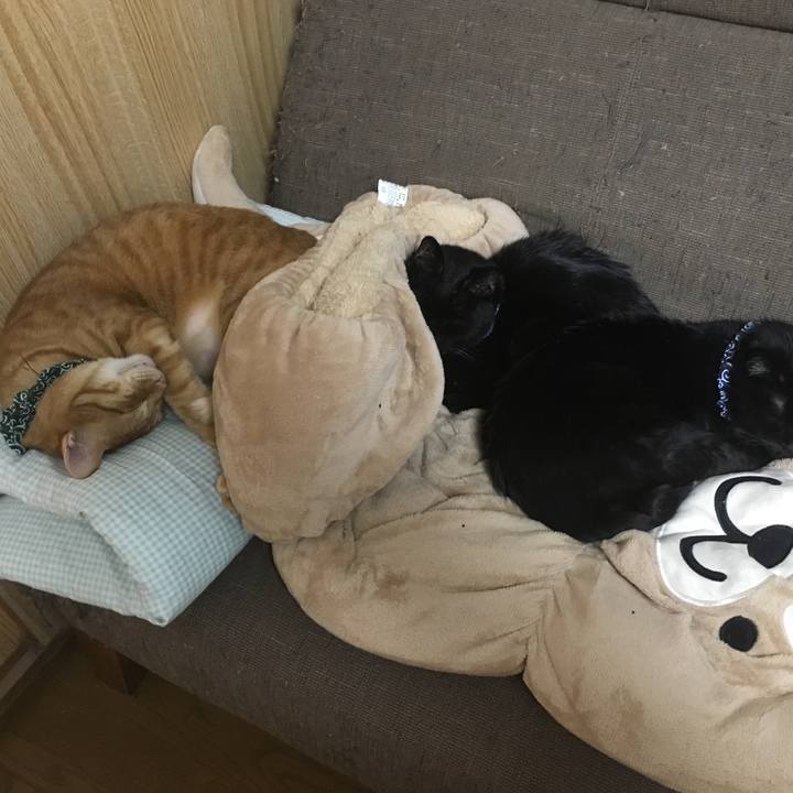 20173845 71d2 4884 8c4e 0ac11b781626 1552404956144