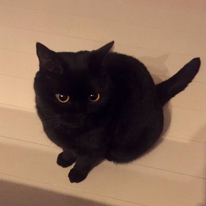 20175bee 7f95 47a5 a3c9 7e5def558682 1570447335708