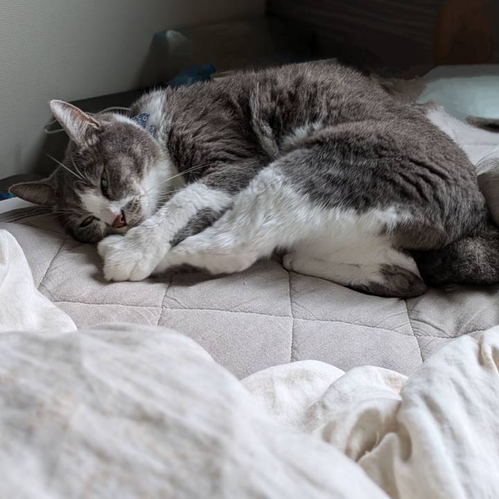 2017713b 5e7f 41ca 80c7 4e571aa5041d 1728257159895