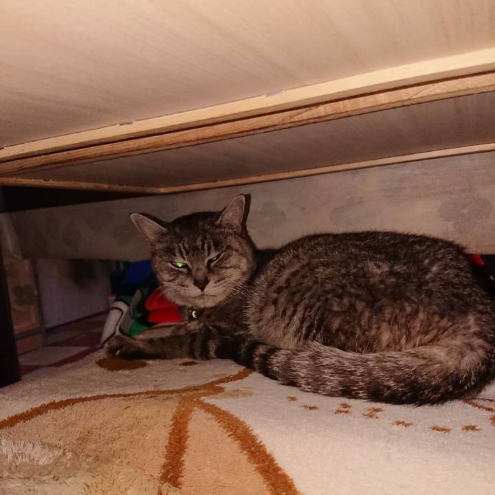 2017820e 2586 46a6 b024 eb30e13619e9 1576274503697