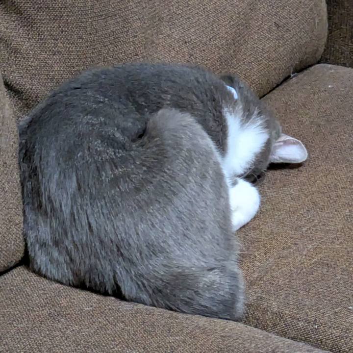 2017a1a3 7a00 40f2 bbbc 206c4fba5ab0 1732178881795