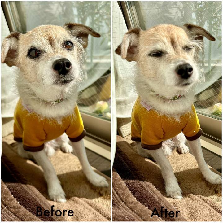 2017f507 c834 4ed8 9a36 934741b50644 1703043718584